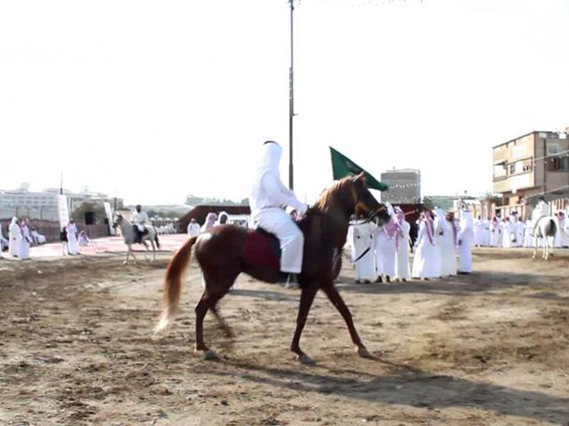 شاهد بالفيديو: خيول تدخل صالة العرس في حفل زفافٍ سعودي!